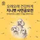 기억공사 이미지