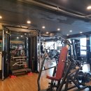 핫플레이스킹덤