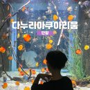 다누리 | 단양다누리아쿠아리움 A-Z까지 제대로 즐긴 후기!
