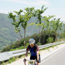 의령-의령-의령-D-7 이미지