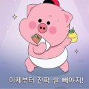 포레스트 스튜디오 이미지