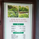 천연애 | (대구/칠곡맛집) 자연이 담긴 한끼, 천연애 칠곡점 방문후기