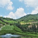 베뉴지CC 이미지