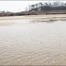 내성천 제방도로 이미지