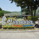 용인자연휴양림 | 용인 농촌테마파크 와우정사 아이들과 갈만한곳 추천
