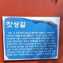 큰사슴이 오름과 쫄븐 갑마장길(표선면 가시리 아름다운길)