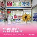 늘봄약국 네이버블로그