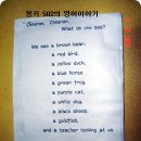 브라운베어 이미지
