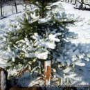 별이네집 이미지