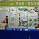 장수꽃굼벵이 네이버블로그