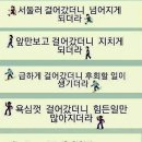 등화 - 강남구 | 등화
