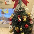 김미경산부인과의원 | 문정동 자궁경부암 검진 주말 진료 가능한 곳