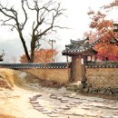 봉화마을길 매일경제