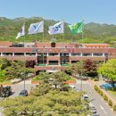 과천시청 이미지