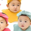 헤어두두 이미지