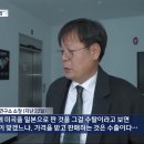 독립기념관 이사에 '뉴라이트 학자' 선임…즉각 반발 이미지