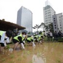 모가농협 앞 이미지