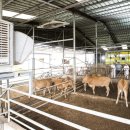 한우번식축산 이미지