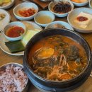 [부산 맛집] 기장 국보미역본점 : 기장에서 든든한 아침식사 전복 가득 미역국