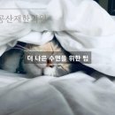 정우한의원 이미지