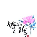 캘리스테이