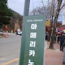 라리페 티스토리