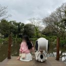참피온 | 제주 동쪽 구좌읍 가볼만한 곳 스누피가든 스누피카페 후기