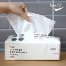 브론디샵