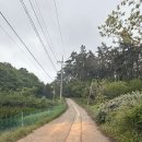 메종드메르 이미지