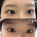 플랜비컨설팅 - 동구 중앙대로236번길 7-11 | 부산 수영구 속눈썹펌 추천 리본리프트 리본펌 속눈썹펌 후기 뷰러 없이도 또렷한 눈매!