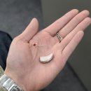 뉴톤보청기(도봉지사) 이미지