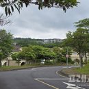 백통신원리조트 기린 이미지