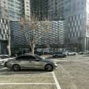 오원석 황금동물병원 | 대구 수성구 황금 동물의료센터 다녀온 후기. (황금 역 동물 병원 두 번째 방문 후기)