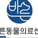 링크동물의료센터 이미지