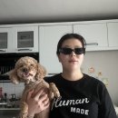 안성(서울) 이미지