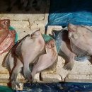 청량리수산시장 이미지