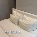 [화성] 경기 화성 모텔 추천 향남 2지구 모텔 숙박 후기 / 호텔앤유 향남점