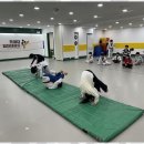 태권도하는아이들 이미지