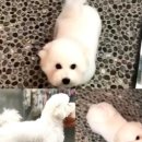 워킹포드림 이미지