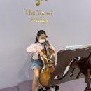 연세현악학원 이미지