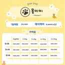 파라다이스유치원 이미지