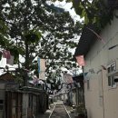 복성루 - 군산시 풍문안1길 28 | [군산 미원동] 군산 3대 짬뽕 맛집 복성루 후기 및 군산 당일치기 코스!