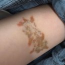 연세스타피부과의원 이미지