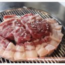 신세계꽃돼지 이미지