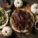 구구랜드 실키팜 이미지