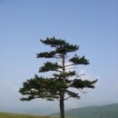 진고개