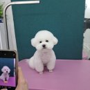 펫아지트 이미지
