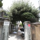 미도의원 이미지