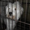 대곡파출소 이미지