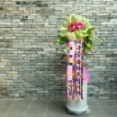 예쁜나무약국 이미지